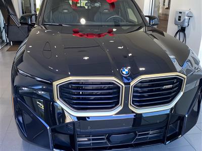 2023 BMW XM lease in Sanford,FL - Swapalease.com